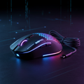 Driftline RGB Wireless Gaming Mouse